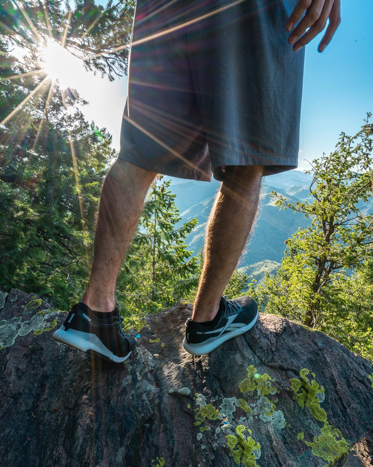 Reebok nano best sale 8 dicks